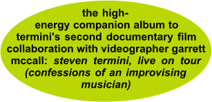 _the high-_-energy companion album to termini's second documentary film collaboration with videographer garrett mccall: steven termini, live on tour (confessions of an improvising ____musician)